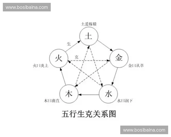 构建以运动健康档案为核心的个性化全生命周期综合健康管理服务模式