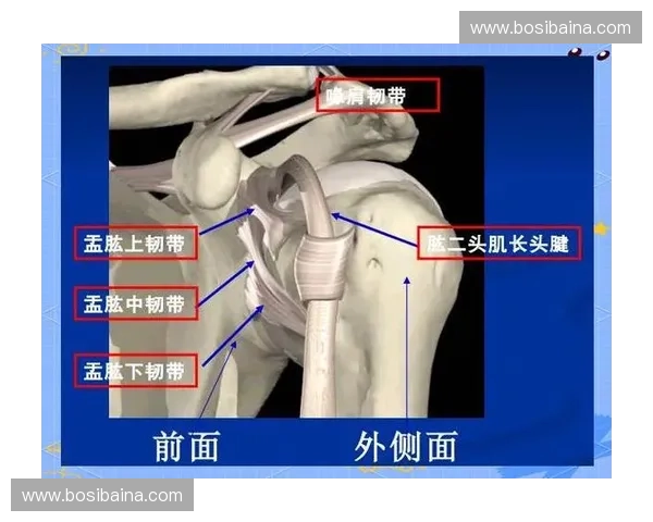 肩袖肌群损伤机制与康复训练策略的系统性研究与应用 肩袖肌群损伤机制与康复训练策略的系统性研究与应用